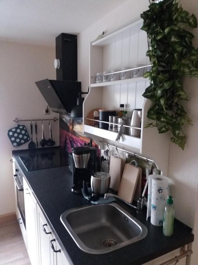 Ferienwohnung Auf Dem Land Dittersbach Exterior photo